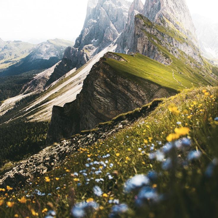 Low-impact nature path